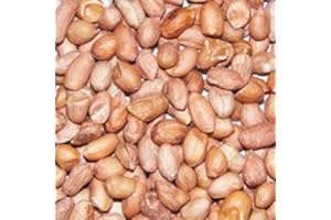 Dawn Chorus Premium Peanuts For Wild Birds (25 kg)