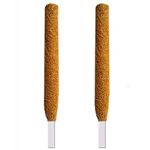 LIVEONCE - 1 feet Moss and Coir Stick for Indoor, House and Plant Creepers Support (Brown, 1 ft) -2 Pieces