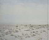 Image de Short Stalks at Distant Shores: Imaging Post-Soviet Space