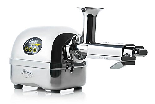 Angel - Extracteur de Jus - Angel 5500