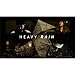 Produktbild Heavy Rain Poster On Silk  - Seide Plakat - E5E342