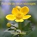Produktbild Portraits de fleurs sauvages (Calendrier mural 2020 300 × 300 mm Square): Douceur et beauté des fleurs sauvages de nos régions (Calendrier mensuel, 14 Pages )