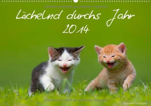 Lächelnd durchs Jahr 2014 (Wandkalender 2014 DIN A3 quer): Wandkalender mit Bildern von lachenden Katzenkindern. (Monatskalender, 14 Seiten)