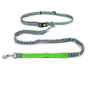 Emily Pets Retractable Hands Free Dog Leash with Dual Bungees for Dogs up to 150lbs Stretchable Waist Belt, Reflective Stitching Leash for Running Walking Hiking Jogging Biking |Green - Grey|