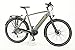 Produktbild Gazelle CityZen T10 HMB Pedelec 500 Wh 13,4 Ah Herrenfahrrad 10 Gang Kettenschaltung grau matt Bosch