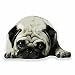 Produktbild 2 x 20cm/200mm Niedliche Mops Hund Fenster kleben Aufkleber Auto Van Wohnmobil Glas #9556