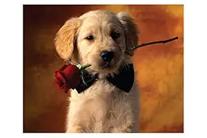 ISEE 360 Wallpaper Animal Posters Canvas for Kids Room Long Walls Living Room Bedroom Kitchen Furniture Kids Boys Girls Stylish Puppy with Rose Sticker L X H 12 X 12 Inches