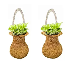 LIVEONCE Round Coir Made Planter Hanging Set of 2 Used AS Railing planters,Hanging planters,Poly Grow Bags,Plant Stands,Plastic pots,Desk pots,Clay pots,Ceramic pots