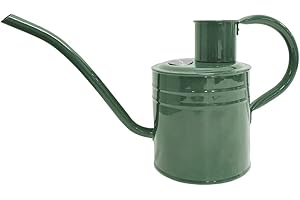 Kent & Stowe 1L Indoor Watering Can in Sage Green, Rust-Resistant Galvanised Watering Can with Handle and Long Spout, Classic All Year Round Garden Tools Made from Steel