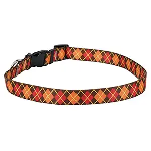 Yellow Dog Design Argyle Fall Dog Collar 1