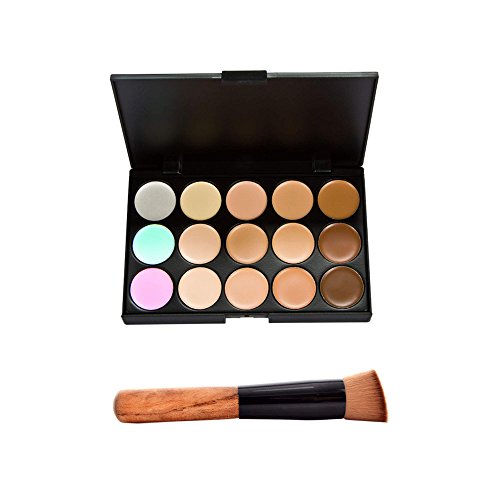 Finejo 15 Color Camouflage Concealer Make Up Cream Palette with Brush