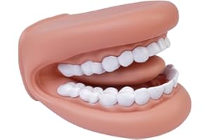 Tiardey Zahnmodell, Zahnputzlehrmodell, vergrößertes Mundmodell für Vorlesungen und Lehren, pädagogisches Zahnmodell, handgetragenes, weiches Modell für den Schülerunterricht