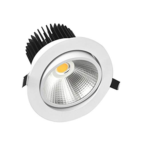 XAJGW Led Recessed Lights, Downlight Dimmable 4.9 Inch, Round Panel Lights Warm White, Ceiling Flat Spotlights for Bathroom Hallway Stage Office (20W) (Color : Warm White Light)