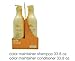 Produktbild Milk_Shake Color Maintainer Shampoo & Conditioner Set 2 - 3 Month Supply 33.8 oz bottles by Milk Shake