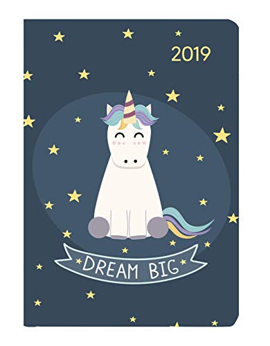 Ladytimer Mint Unicorn 2019 - Taschenplaner / Taschenkalender (8 x 11,5) - Weekly - 144 Seiten - Notizen