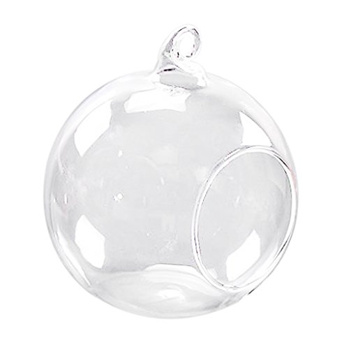 Preisvergleich Produktbild Sharplace Hängende Blumenvase aus Glas - 12cm