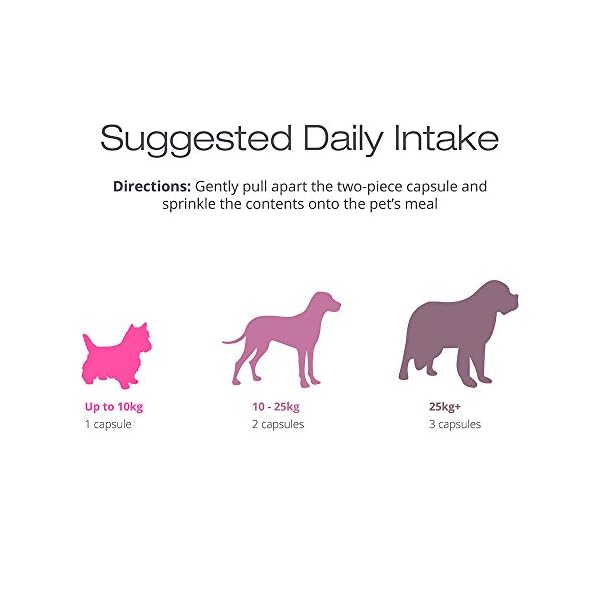 Advanced Coat & Skin Remedy for Dogs Supplement Formulated for Dry