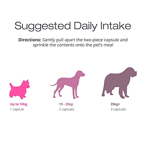 Advanced Coat & Skin Remedy for Dogs Supplement Formulated for Dry