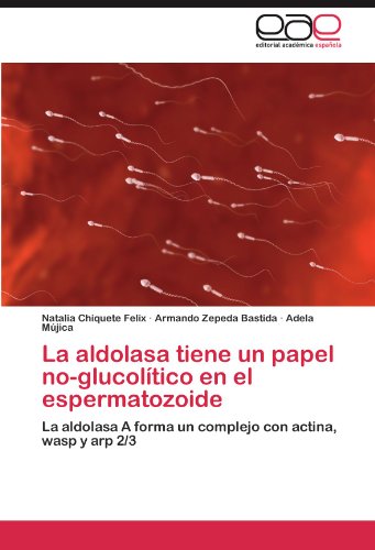 La Aldolasa Tiene Un Papel No-Glucolitico En El Espermatozoide
