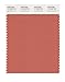 Produktbild PANTONE SMART 17-1540X Color Swatch Card, Apricot Brandy by Pantone