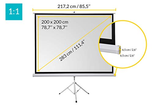 celexon Basic Pantalla para Escuela, proyección, presentación y Cine en casa trípode Montaje y desmontaje rápidos - 200x200 cm - 1:1