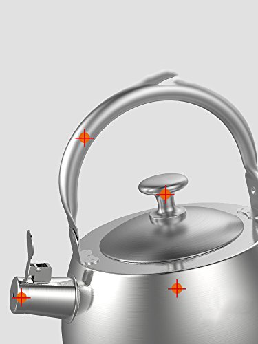 TXZ 304 en Acier Inoxydable Bouilloire gaz Cuisinire  gaz - sifflet paississement appel Bouilloire  Eau Chaude Maison Cuisinire  Induction Grande capacit 5l 10000