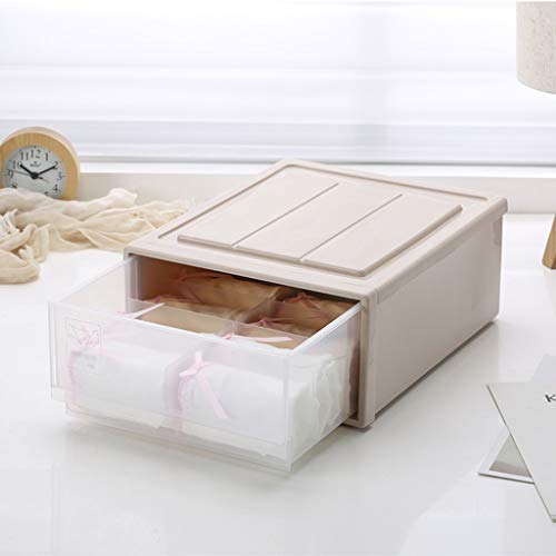 Shangshu Caja de Almacenamiento Tipo cajón Femenino Dormitorio Compartimiento del hogar Armario con Calcetines de Ropa Interior Caja de Almacenamiento,Beige,increase10grids