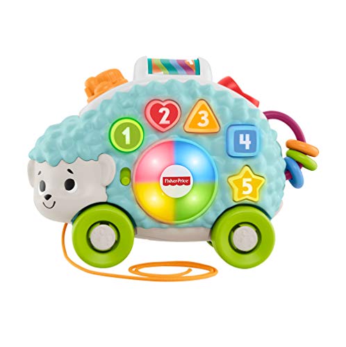 Fisher-Price Linkimals Louison le Hérisson, jouet bébé interactif d'apprentissage, sons et lumières, version française, 9 mois et plus, GJB08