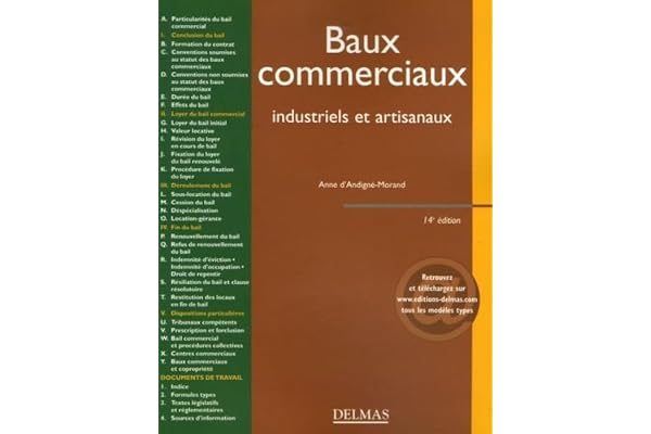 Baux commerciaux industriels et artisanaux: Editions 2006