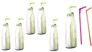 Trinkgläser Flaschen mit Deckel und Trinkhalm 6 Flaschen