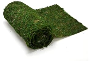 AURORA STORE Rotolo di Muschio Band con Adesivo Nastro Runner da tavola per Presepe, Verde sintetico effetto naturale tappeto per decorazioni matrimonio, eventi, presepio Natale varie dimensioni (24x120 cm)