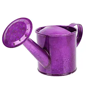 DOITOOL Iron Sheet Watering Can Plant Watering Can with Long Spout 500ml Garden Watering Bucket Sprinkler Kids Gardening Water Pot for Indoor Outdoor House Plants ( Purple )
