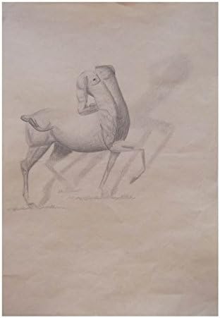 "Centauro"