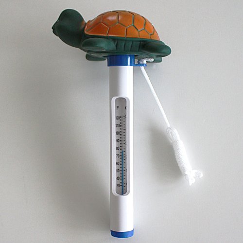 Pool Thermometer Schildkröte