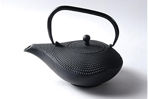 Théière en fer avec filtre en acier inoxydable - 1 l - INTERKITCHEN©