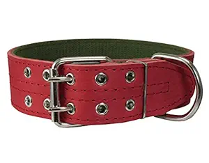 Genuine Leather Dog Collar 1.75