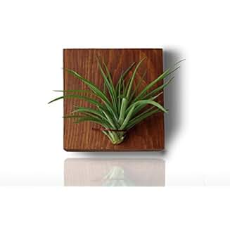 Suchergebnis auf Amazon.de für: Wanddeko Holz