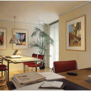 Preisvergleich Produktbild Franken Galerieschienen-System 2m mit 4 Perlonseilen und Tellergleiter