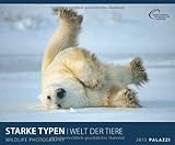 STARKE TYPEN 2013 by 