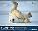 STARKE TYPEN 2013 by 