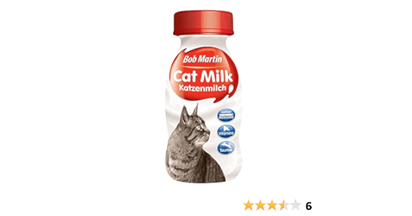 dog with dinosaur hat