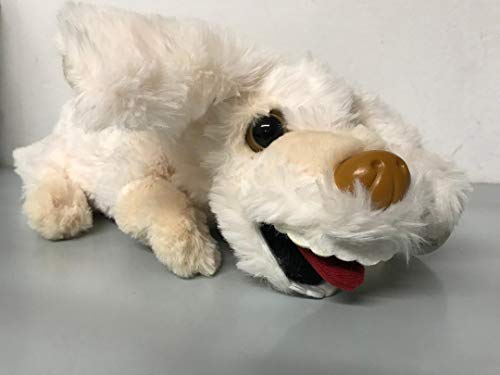 Preisvergleich Produktbild Glücksdrache