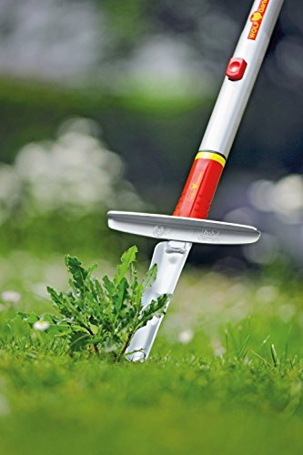 WOLF-Garten multi-star® Unkrautstecher KS-M; 2554000 - 2