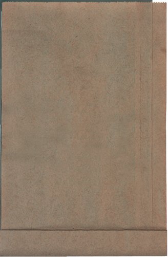 Einhell Papierfilterset passend für Nass Trockensauger (10er Set)