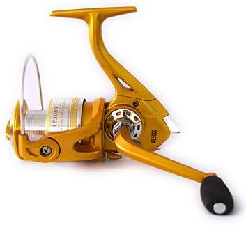 TY Fishing Reels Spinning Reels 5.21 13 Ball Bearings Exchangable General Fishing-AE1000 , 5000