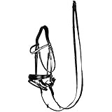 Harrys horse Trensenzaum Flash schwarz Warmblut