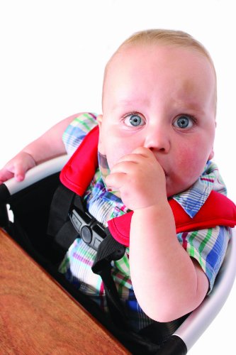 Phil & Teds LB11 – Tischklemmsitz Lobster, schwarz / rot - 7