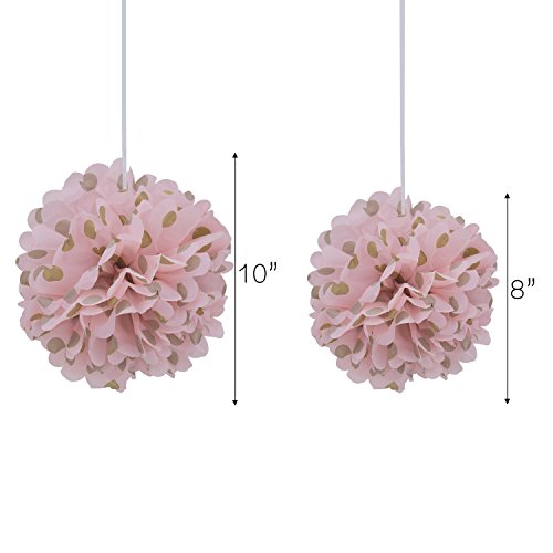 ZeWoo Set von 16 Stück Seidenpapier PomPons für Hochzeit Party Papierblumen Deko, 8″, 10″ - 4