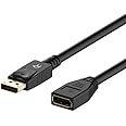 Rankie Câble d'Extension DisplayPort, 1,8m, Noir