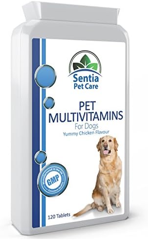 Multi vitamins for Dogs - Premium Quality (UK Manufactured) Nutritional Supplements for your pet's good health and wellbeing, brain, heart, kidney, eyes, and liver functions. 120 Yummy Chicken Flavour Tablets.